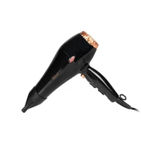 Uscator de par 2200 W