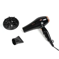 Uscator de par 2200 W 2