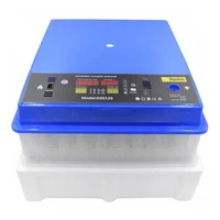 Incubator automat 12V