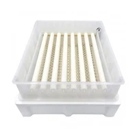Incubator automat 12V 4