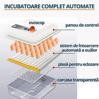 Incubator automat 12V 13