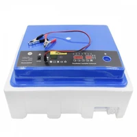 Incubator automat 12V 8