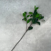 Ramura artificiala, Ficus 84 cm 2