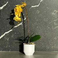 Orhidee decorativa in ghiveci 55 cm 2
