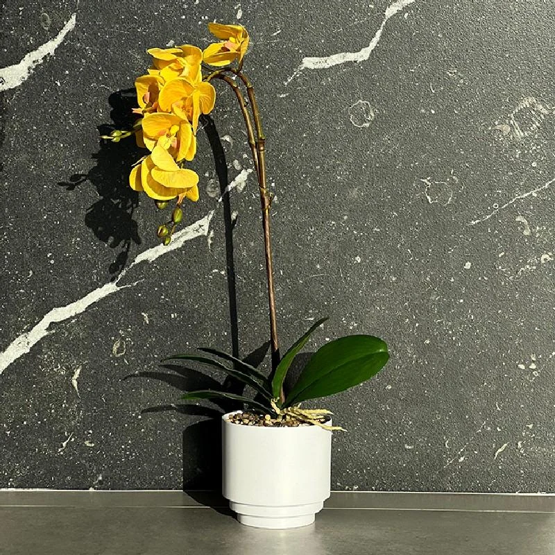 Orhidee decorativa in ghiveci 55 cm 2