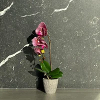 Orhidee decorativa in ghiveci 42 cm 2
