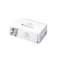 Set pahare Diamond 6 pcs  / 275 ml 2