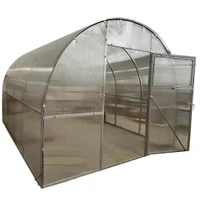 Sera policarbonat cu sistem de irigare (8x3x2.5) 2