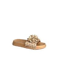 Slapi Dame (36-41)