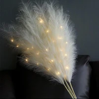 Set 5 ramuri Pampas 80 cm LED