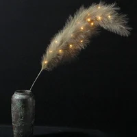 Set 5 ramuri Pampas 80 cm LED