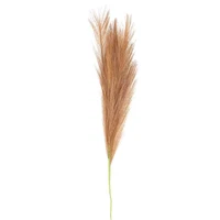 Set 3 ramuri Pampas 80 cm