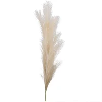 Set 3 ramuri Pampas 80 cm