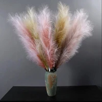 Set 3 ramuri Pampas 80 cm 2
