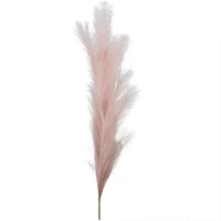 Set 3 ramuri Pampas 80 cm
