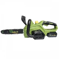 Ferestaru electric cu lant pe acumulator 2