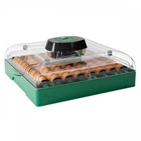 Incubator automat 2