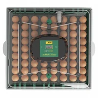 Incubator automat 3