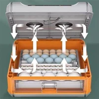Incubator automat 5