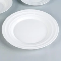 Farfurie de servit opal 26.5 cm 2