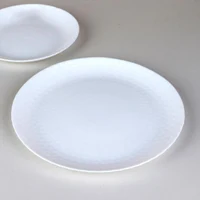 Farfurie de servit opal 25.4 cm 2
