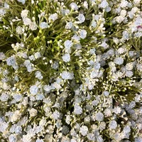 Flori decorative 35 cm 4