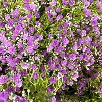 Flori decorative 35 cm 5