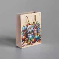 Подарочный пакет (18x23x10) 4