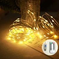 Ghirlanda 50 LED /5 m 2