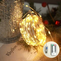 Ghirlanda 100 LED /10 m 2
