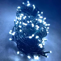 Ghirlanda 100 LED /10 m (lumina alba)