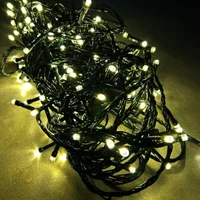Ghirlanda 100 LED /10 m (lumina galbena)