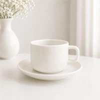 Set cana cu farfurie si lingurita 300 ml