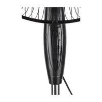 Ventilator cu picior Zilan